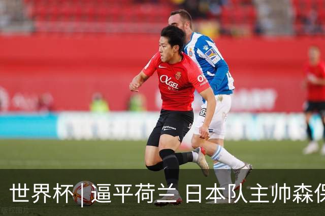 世界杯 | 逼平荷兰 日本队主帅森保一仍不满意