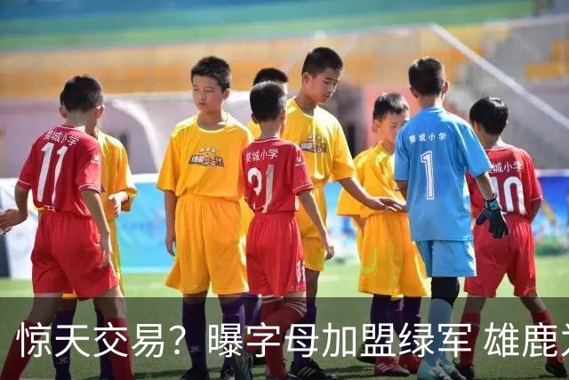 惊天交易？曝字母加盟绿军 雄鹿为布朗寻找第三方