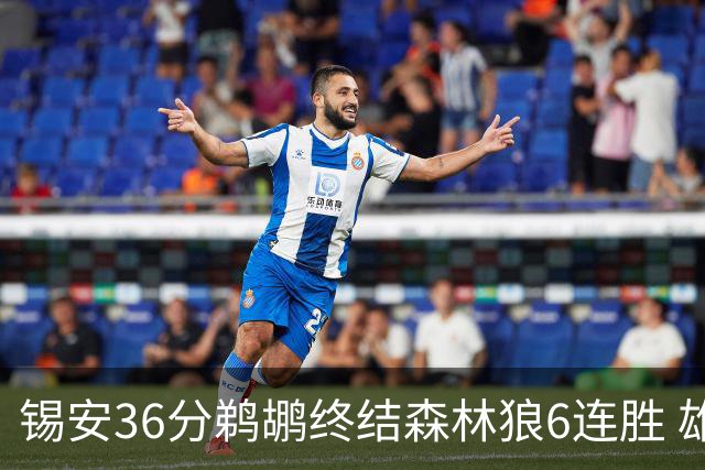 锡安36分鹈鹕终结森林狼6连胜 雄鹿险胜公牛